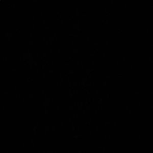 Meet your Posher, Raymond